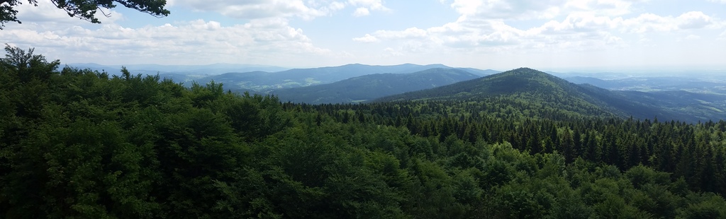 Hirschenstein - mountain in Bavarian Forest 1/2h from home