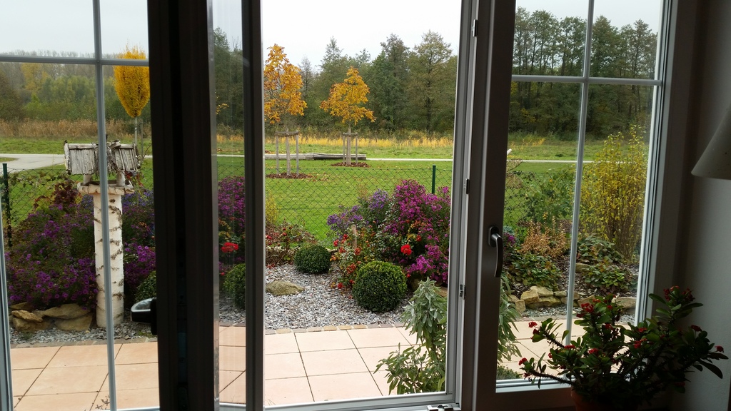 open window in the dining room south side