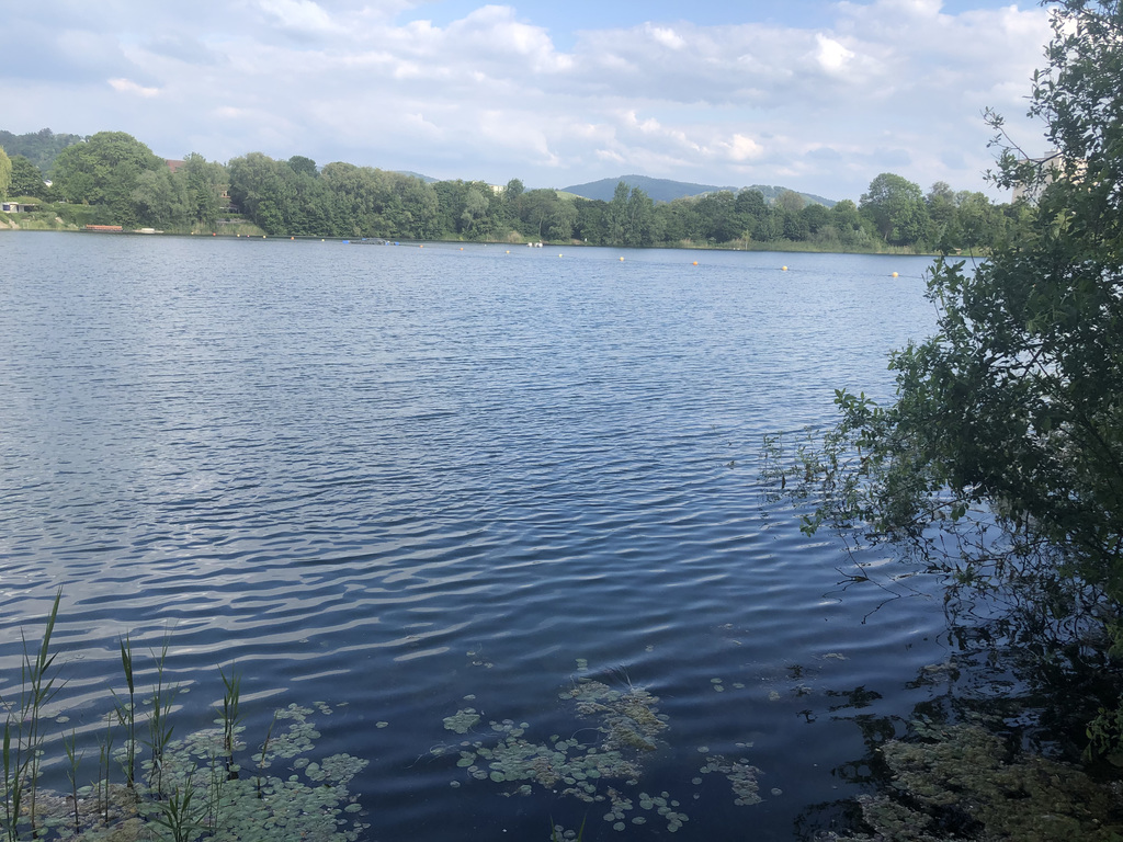 Badesee Bensheim 3 Gehminuten von uns entfernt