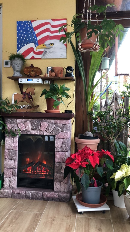 Wintergarten Ostseite 