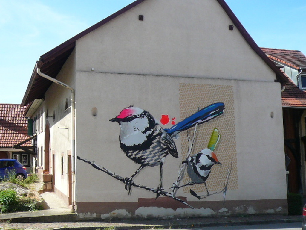 StreetArt  opposite our house