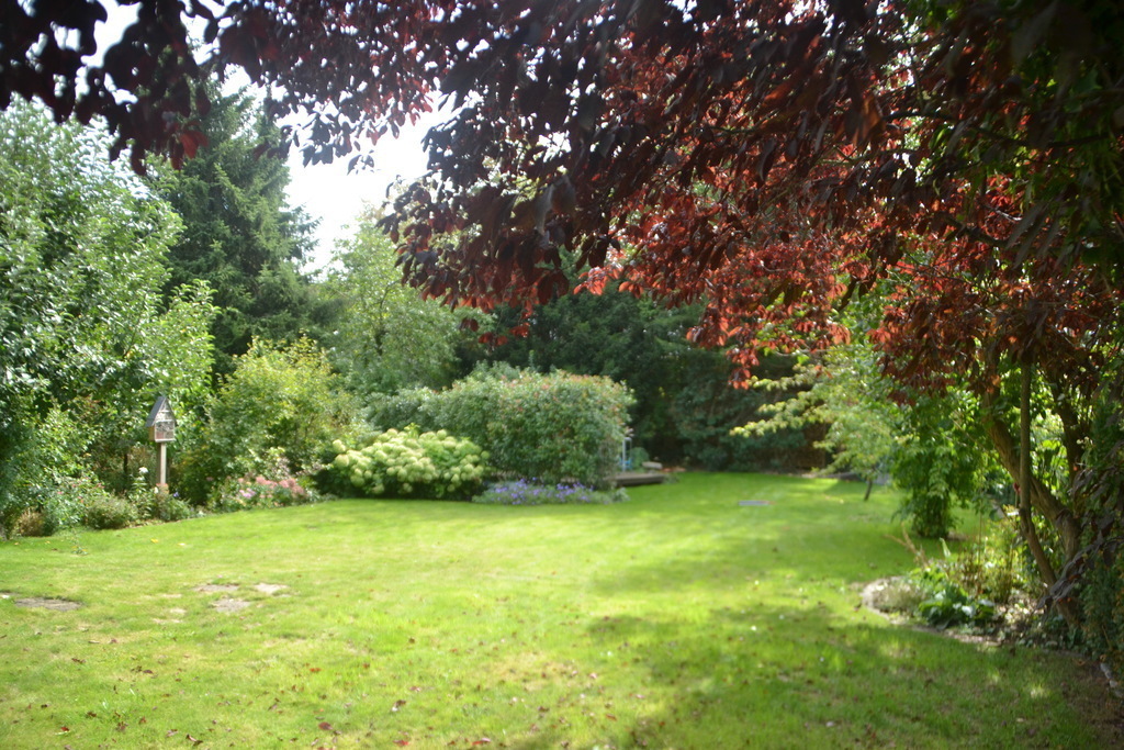 Ansicht Garten, view garden