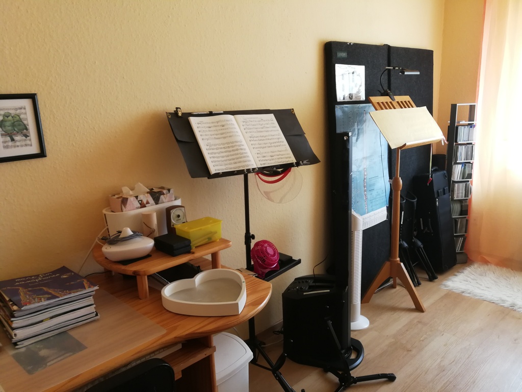 Musikzimmer