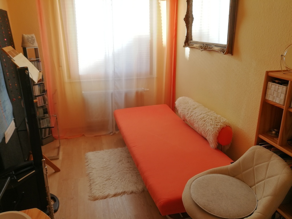 Schlafsofa 90x200 cm