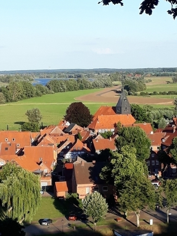 Blick auf Hitzacker vom Weinberg 