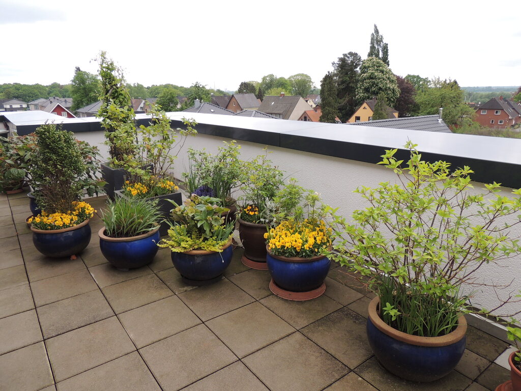 Roof terrace - view to the east