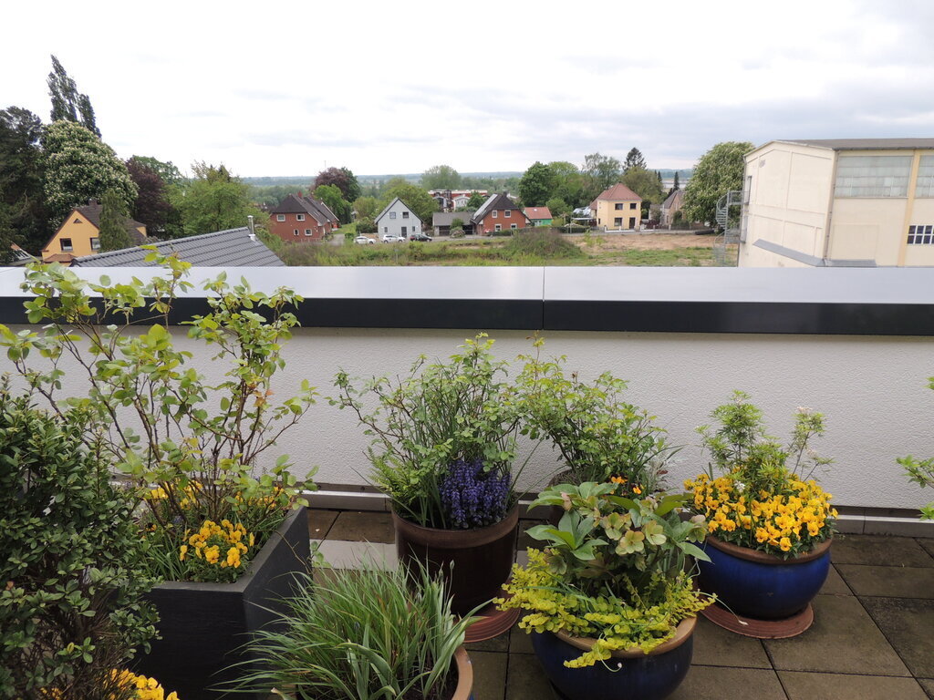 Roof terrace - view to the south
