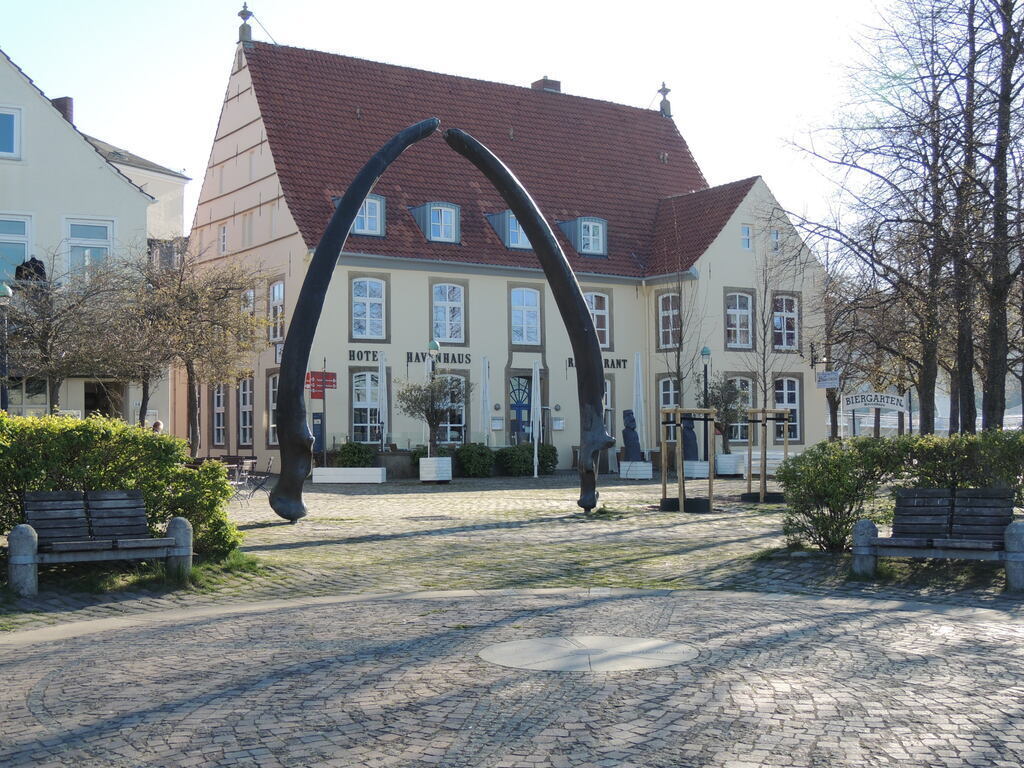 Walkiefer am Utkiek in Vegesack