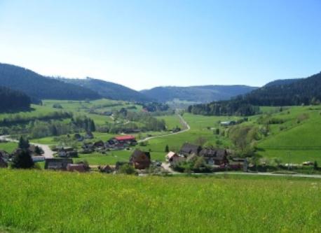 Forbach, Black Forest