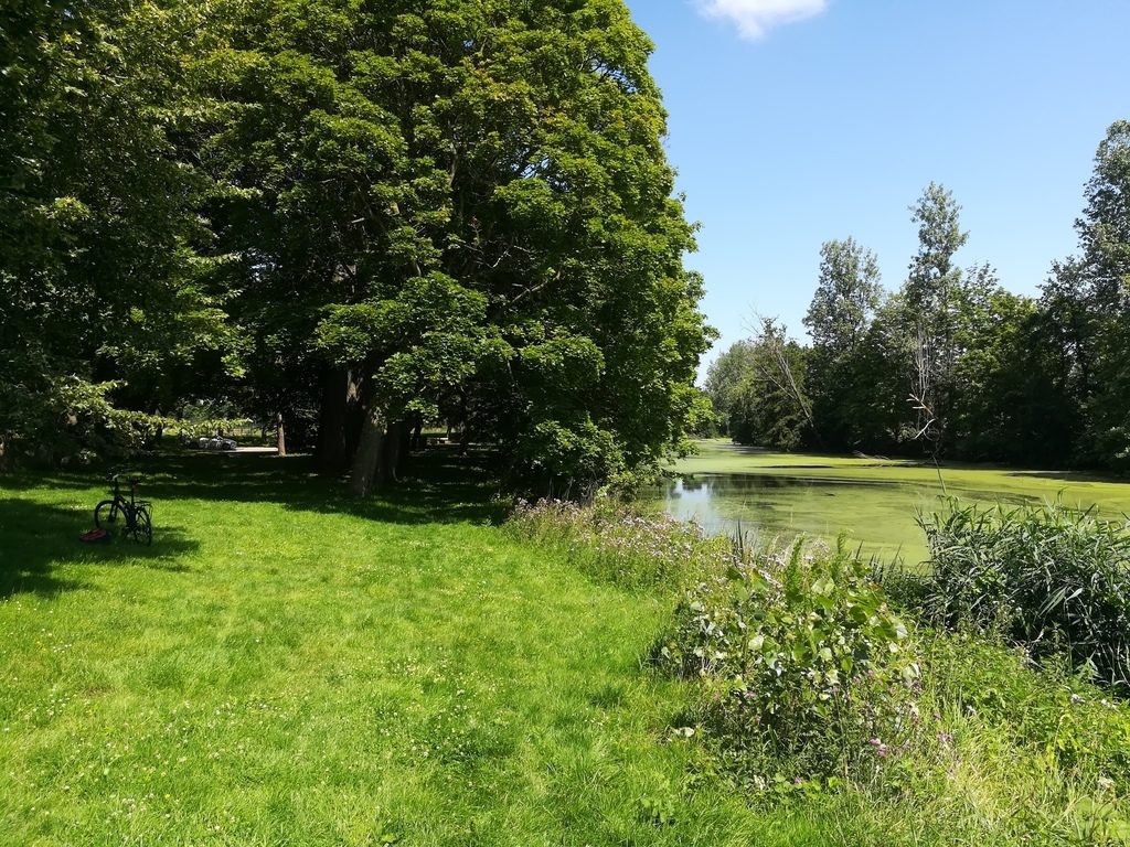 Belgian cycling and hiking area - 25 mins by car