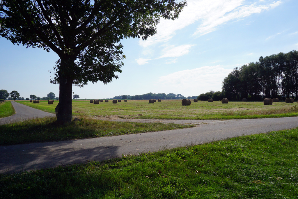 Landscape near Hitzacker