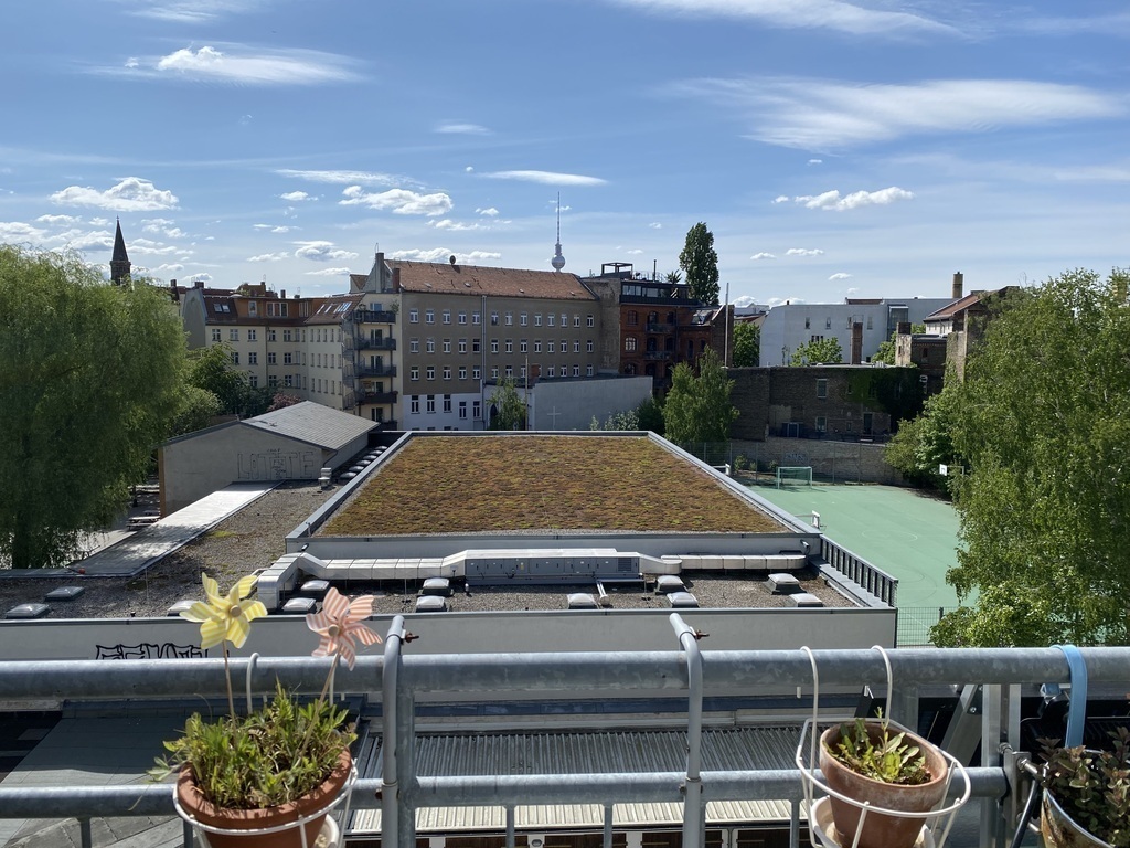 View from the south balcony