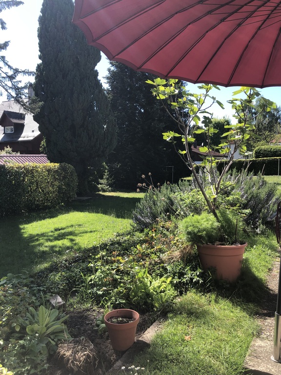 im Garten