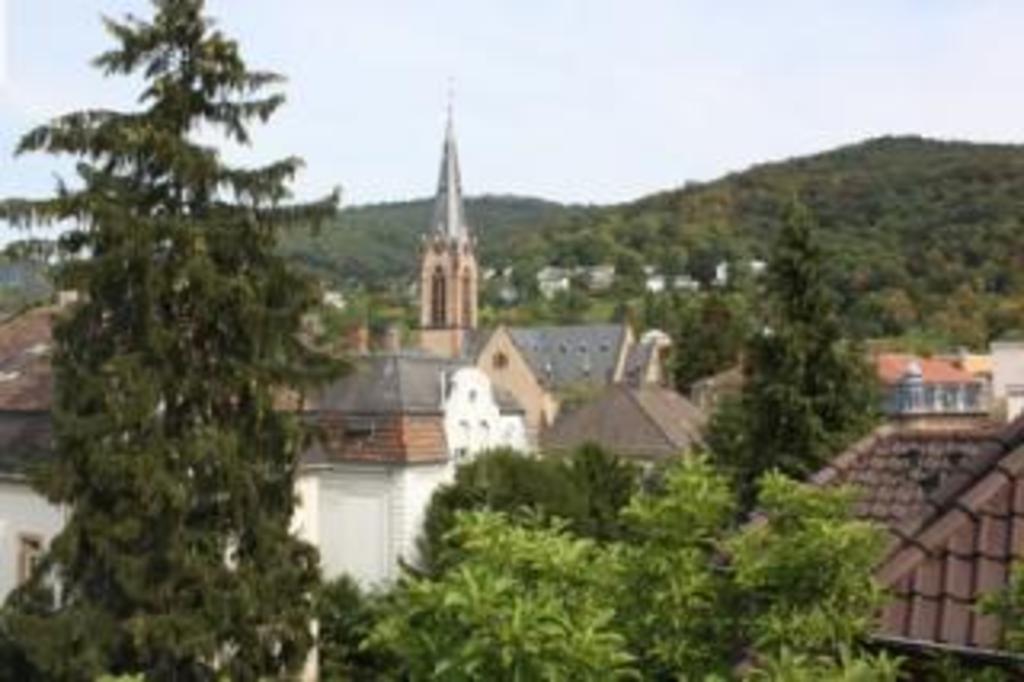 View from the kitchen window