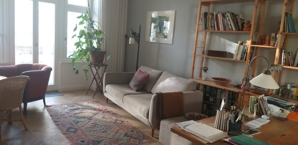 Wohnzimmer mit Nordbalkon