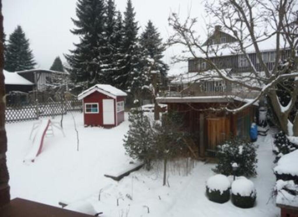 garden at wintertime