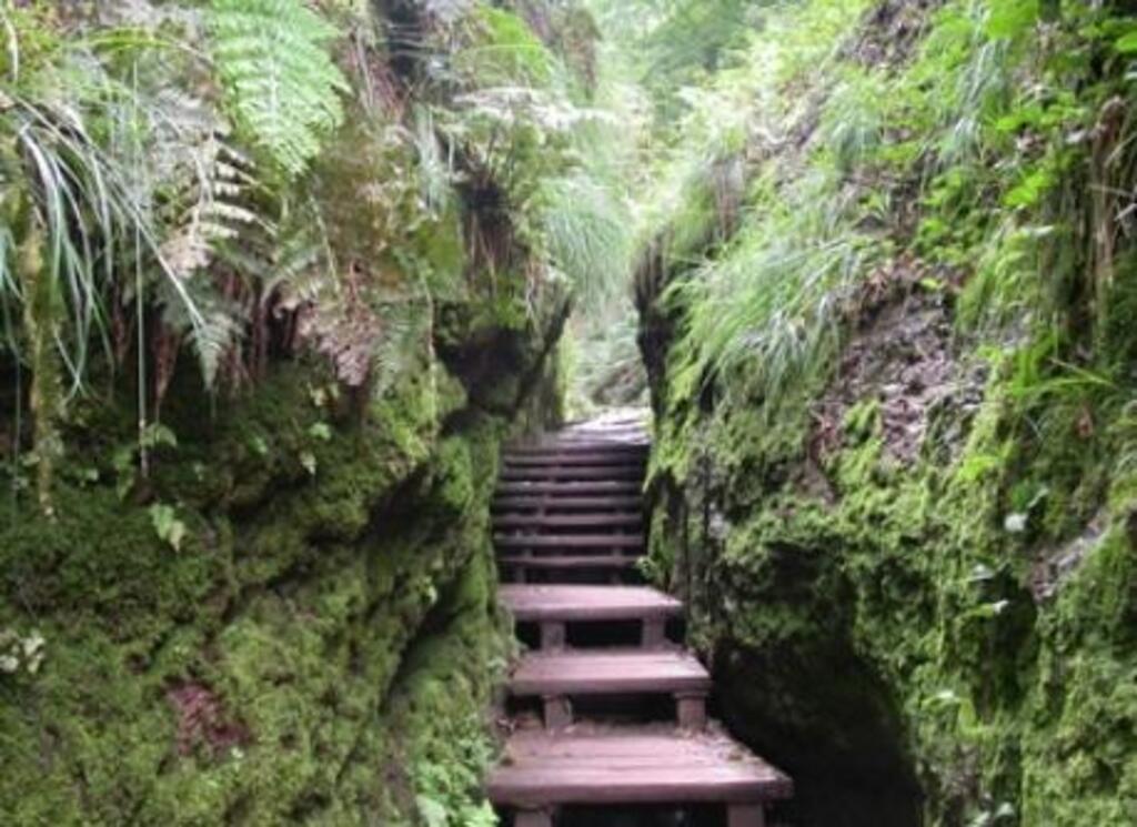 Dragon Way  for hiking