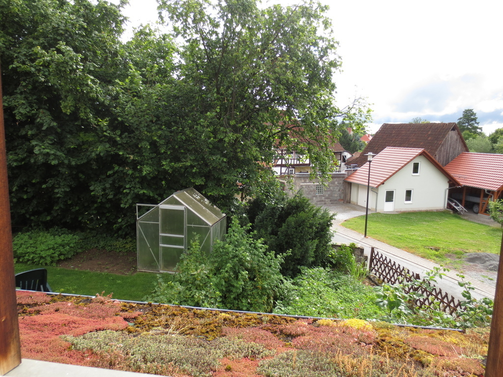  part of the back garden