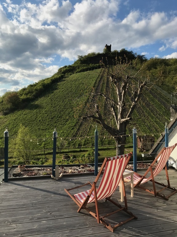 opposite our house wineyards and schöneck