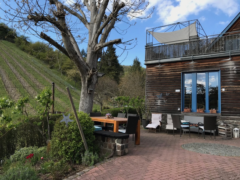 the yard in front of the house