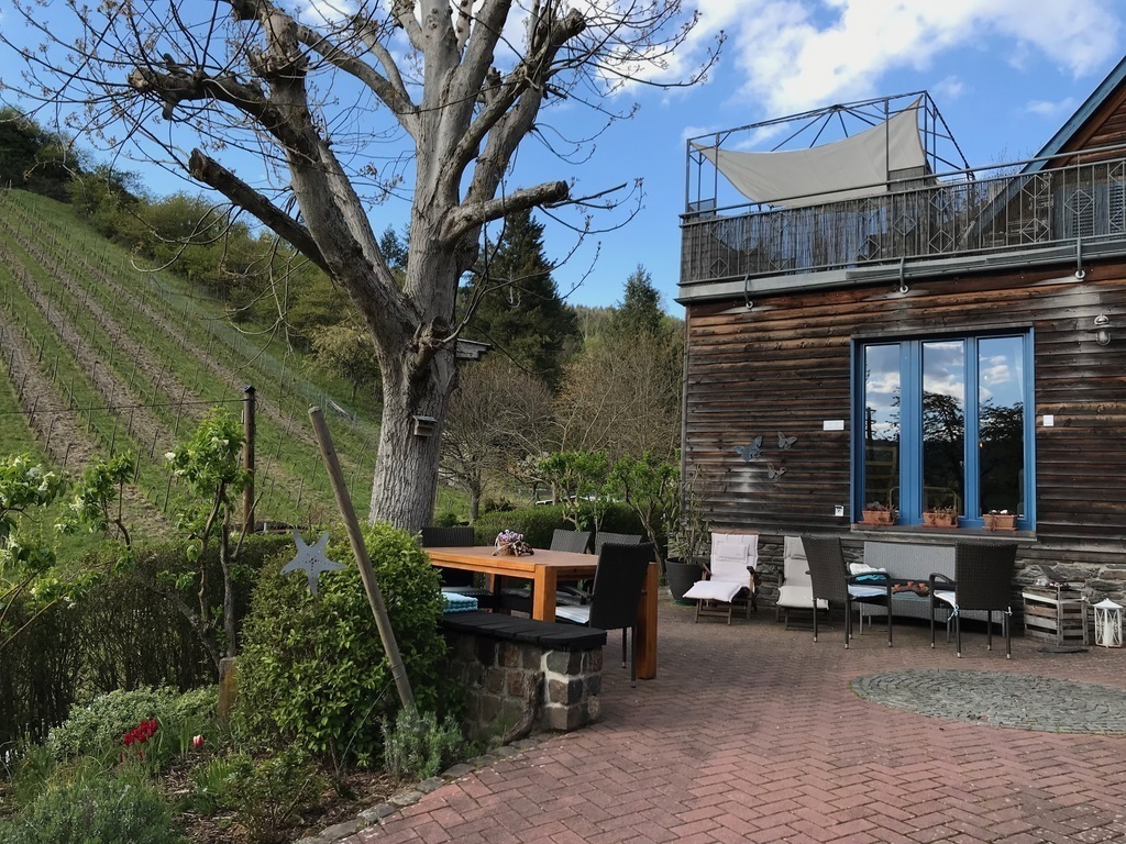 the yard in front of the house