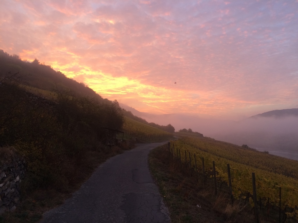 Sonnenuntergang/Sunset