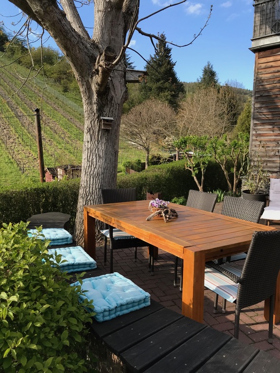 Dining under the walnut tree