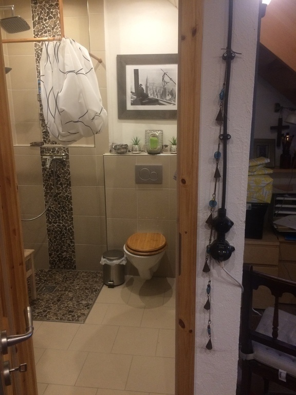 3rd toilet with shower in the barn