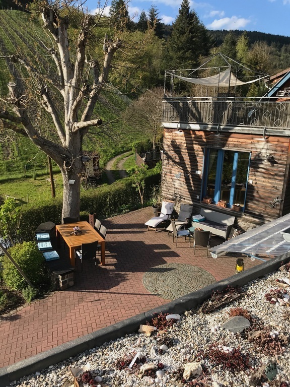 Our yard seen from the terrace of the barn