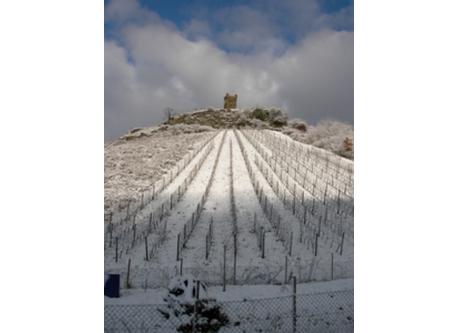 "Schöneck" gegenüber des Hauses