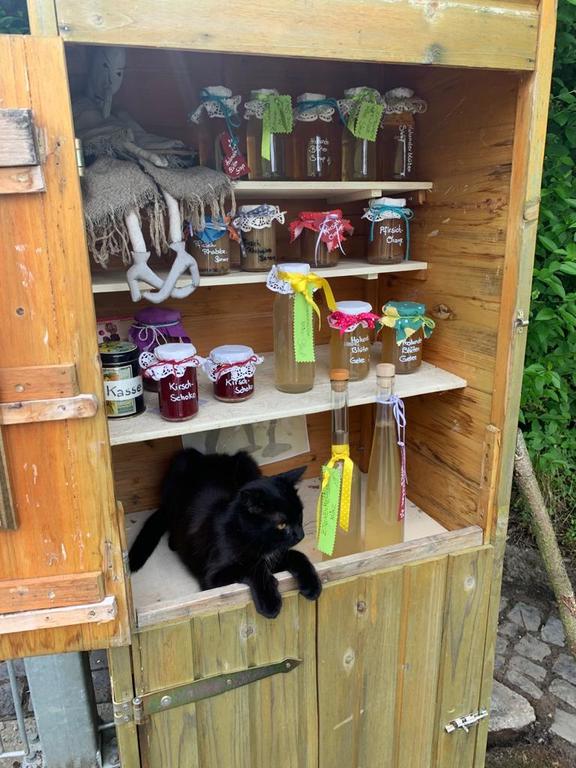 Lenny our cat guarding the "HEXENKÜCHE" in front of our gate