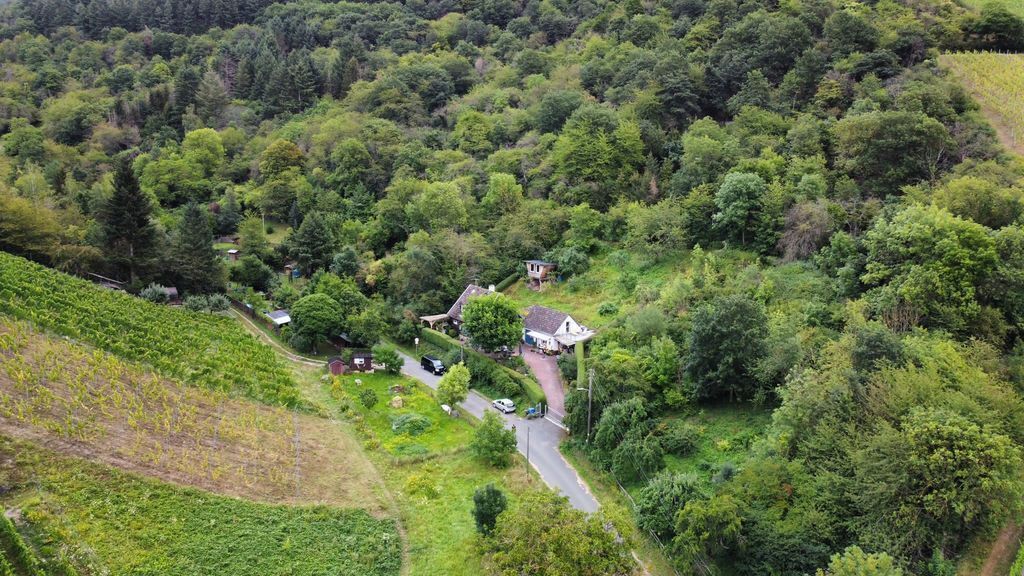 our street house and very green surrounding from above 