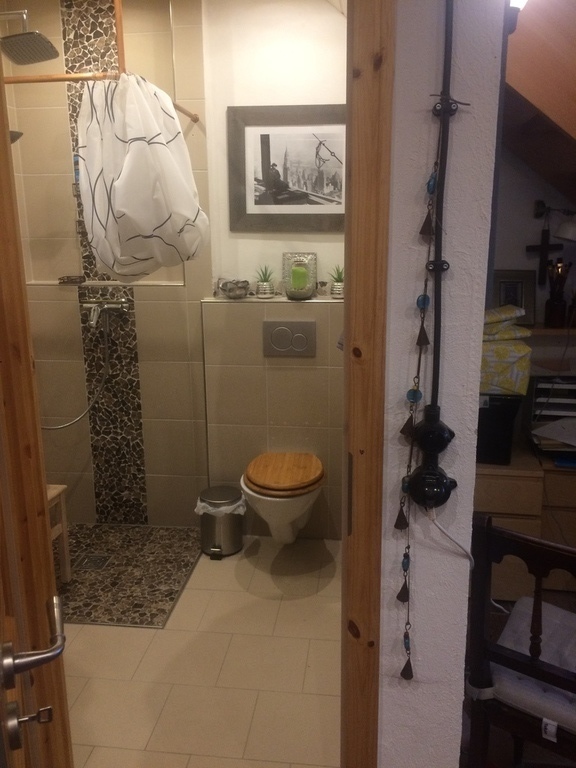 3rd toilet with shower in the barn