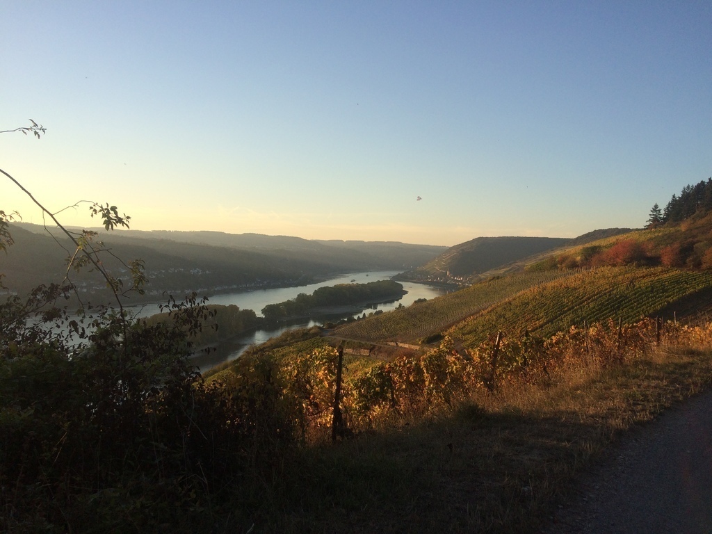 Lorcher Insel/Island near Lorch