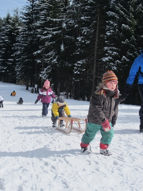 Snow fun in the Black Forest