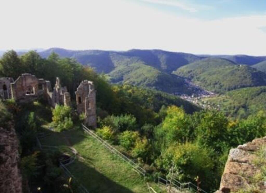 Visiting castle Neuscharfeneck in the Palatinate forest