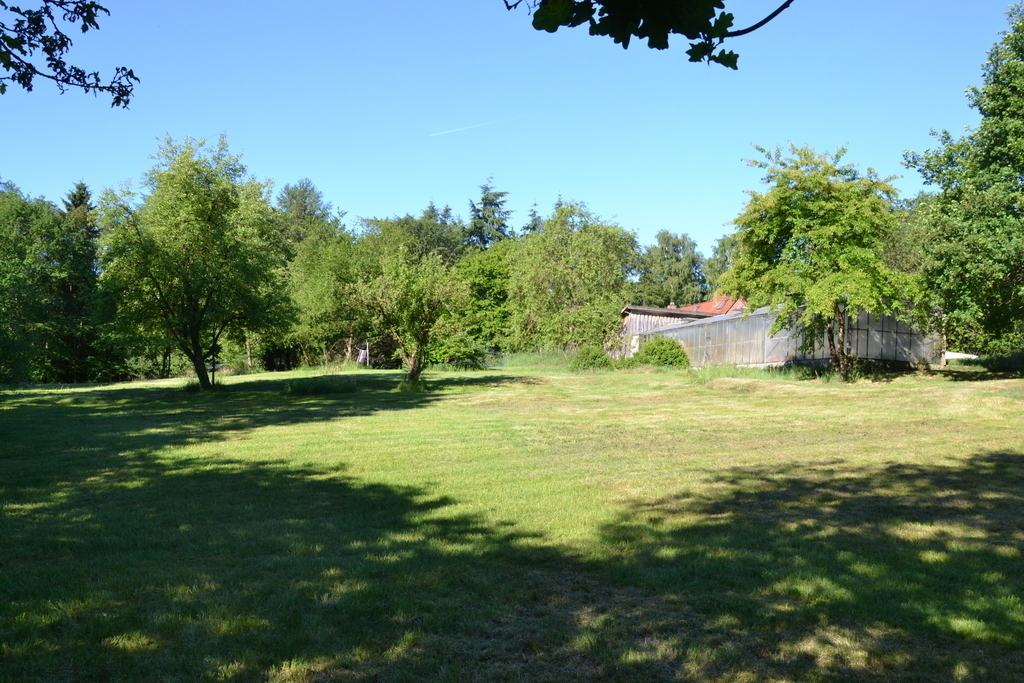 unsere Wiese /our meadow