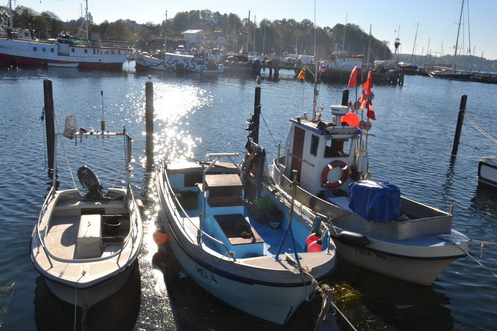 Boote in Kiel-Heikendorf