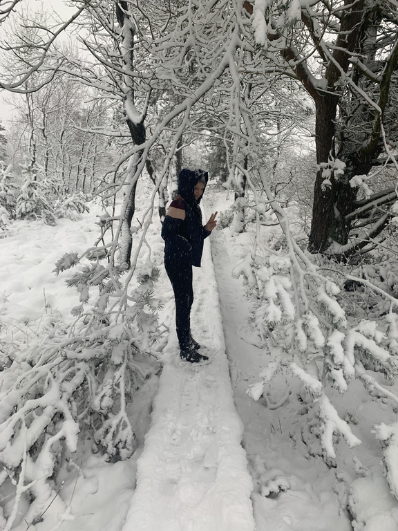 Winter in the “Eifel" 