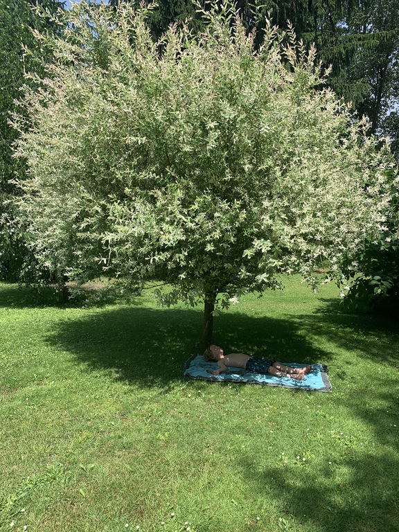 Releaxing in our garden