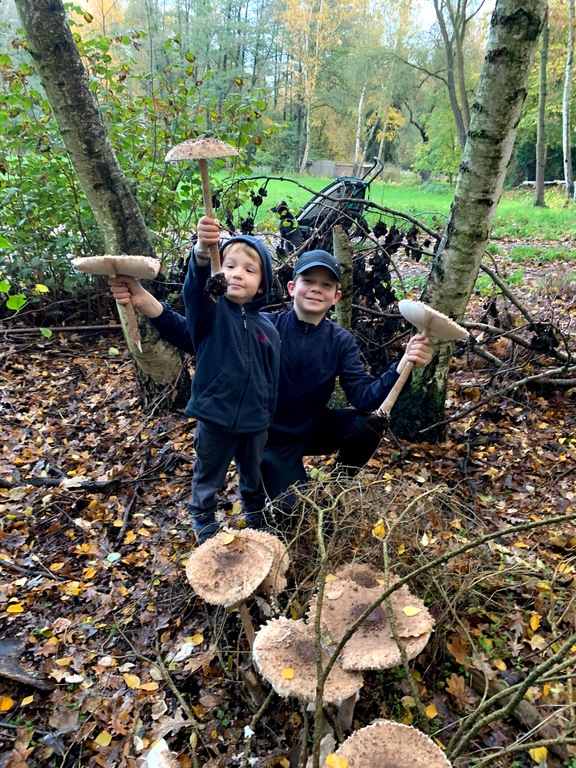5 minutes walk to this giant mushrooms. Yummy!
