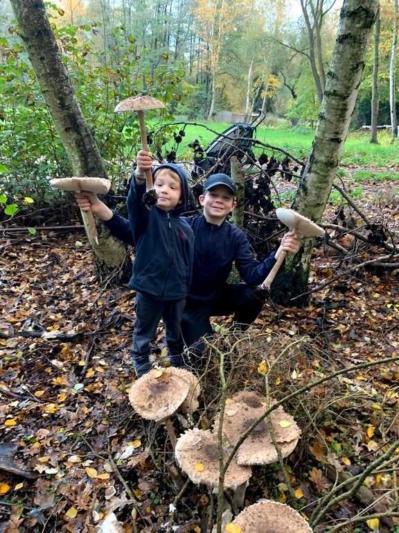 5 minutes walk to this giant mushrooms. Yummy!