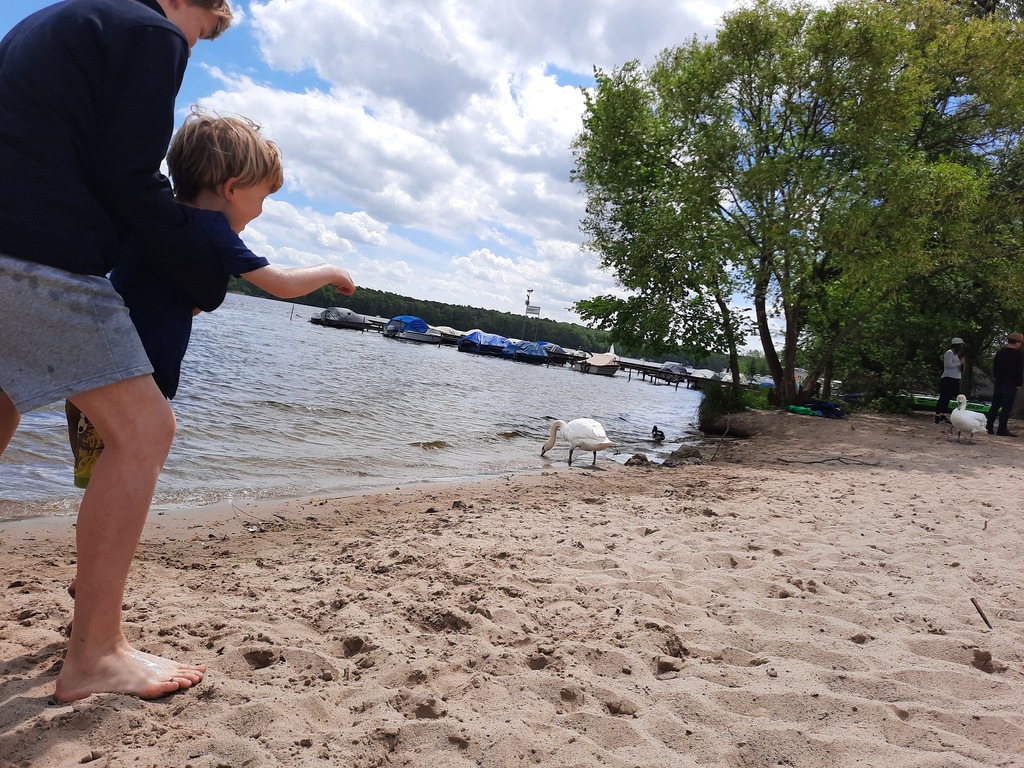 Close to our house: a beach on river Dame