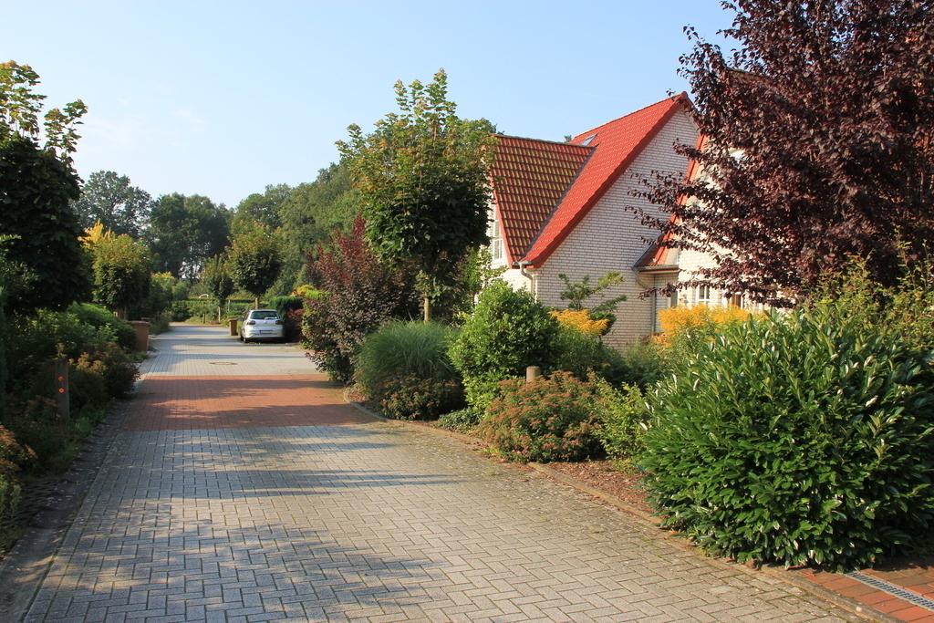 Our quiet street