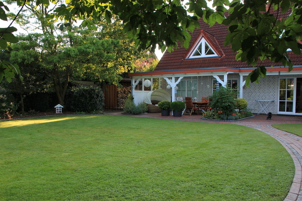 The garden
