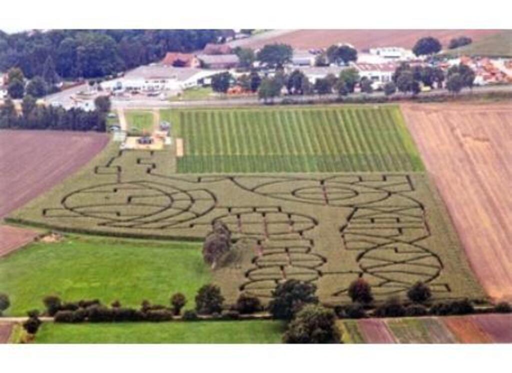 cornfield maze (6 km)