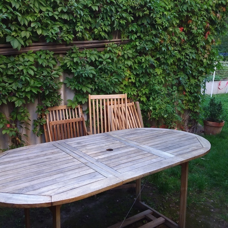 This is where we like to have meals in the summer.