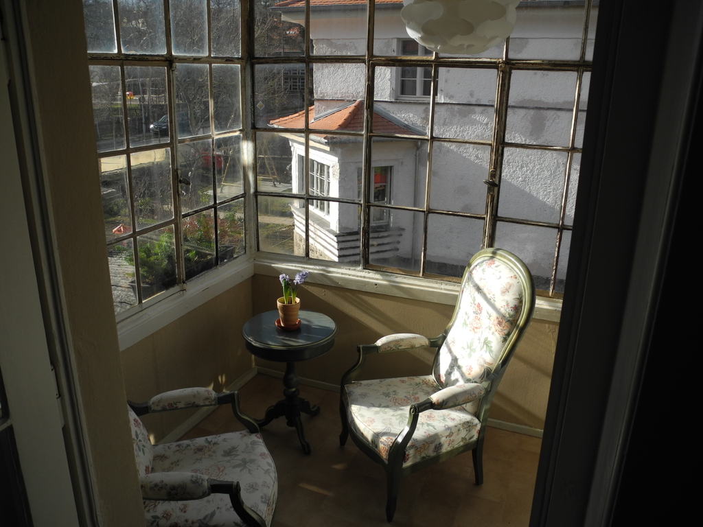 wintergarden seen from kitchen (it's February)