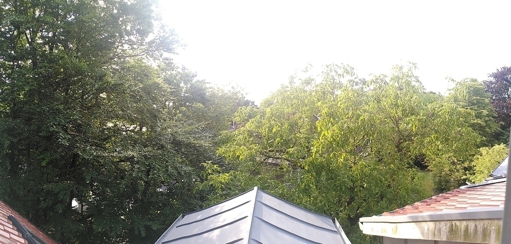 the view from the other side of the  guest apartment : lots of green in the summer !