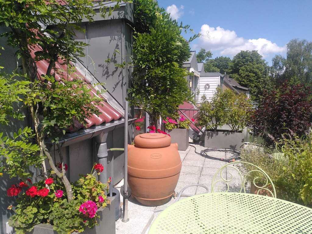 roof terrace , beautiful in the summer !